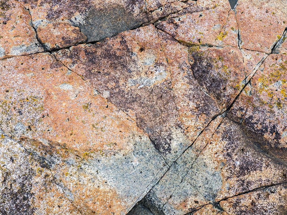 Maine Patterns on rock on the beach near Thunder Hole in Acadia National Park